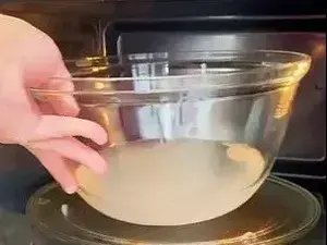 שיטה לניקוי המיקרוגל. carolina.mccauley, צילום מסך