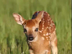 ×ª××× × ×§×©××¨×