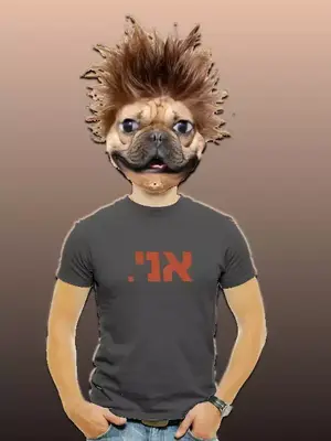 היינץ פלברברגטט