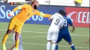 ממים ברשת לאחר ההצגה של טים הווארד, ארה"ב (אתר רשמי , dailymail)