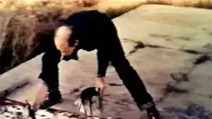ג'קסון פולוק (מערכת וואלה!)