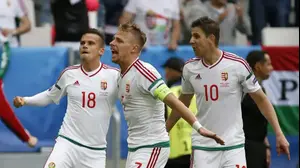 שחקן נבחרת הונגריה זולטן שטיבר חוגג (רויטרס)