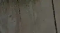 בריאות קידום שמאלי (מערכת וואלה! NEWS)