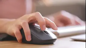 עכבר מחשב (ShutterStock)