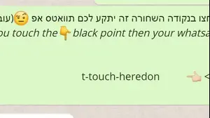 הודעה שמקריסה את הווטסאפ (צילום מסך)
