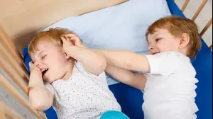 אחים צמודים רבים (ShutterStock)