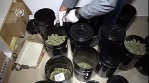 המשטרה החדירה לאפליקצית טלגראס סוכן סמוי שאסף ראיות, והביא למעצרם של 42 האנשים החשודים במעורבות בארגון שמכר סמים בשווי מאות מיליוני שקלים לעשרות אלפי אנשים (דוברות משטרת ישראל)