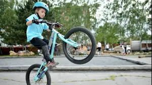 אופני BMX (ShutterStock , By muroPhotographer)