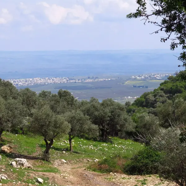 מסלול נחל ראש פינה. רמי גלבוע, מערכת וואלה!