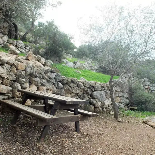 שביל הבארות ובורות המים פארק בריטניה. איל שפירא, מערכת וואלה! NEWS