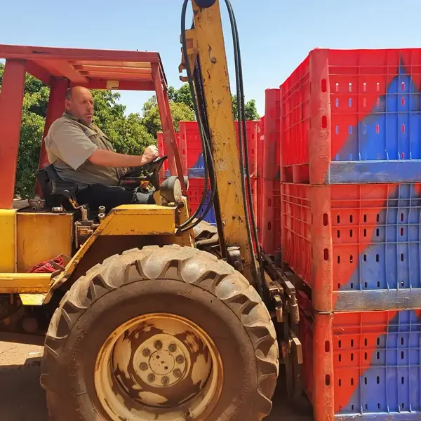 עופר מושקוביץ(פושקו),מרכז המטע אבוקדו של משגב עם.12 במאי 2020. שלומי גבאי