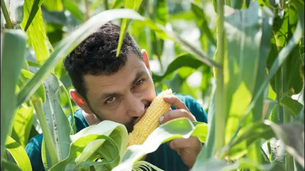 הפקת מתכוני תירס עם השף ערן כהן הפקת מתכוני תירס עם השף ערן כהן