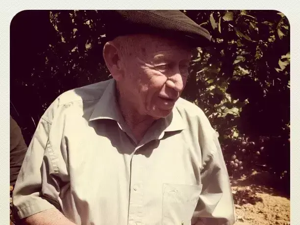 אליהו סלע, 