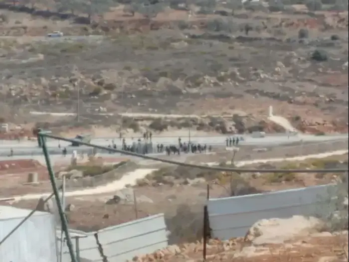 פלסטינית התקדמה לעבר כוח מג"ב בצומת תפוח עם סכין ונורתה למוות - וואלה! חדשות