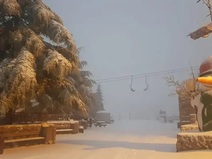 שלג יורד באתר החרמון גשם ורוחות ברחבי הארץ התחזית המלאה וואלה
