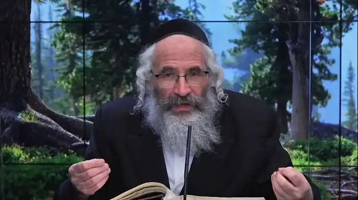 מסכת פסחים דף נז. וואלה! NEWS, צילום מסך מסכת פסחים דף נז. וואלה! NEWS, צילום מסך