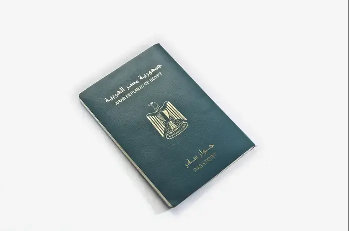 דרכון מצרי (מערכת וואלה! NEWS , Shutterstock)