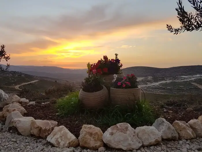 אתרי המלונות מסייעים להתנחלויות ומרוויחים מפשעי מלחמה וואלה