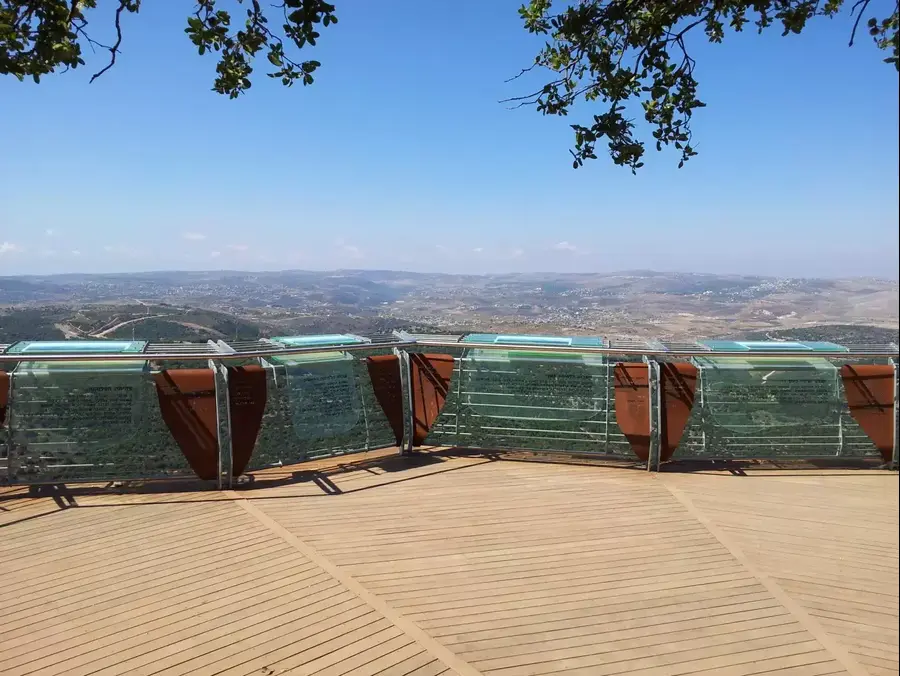 מצפור הר אדיר. זיו ריינשטיין, 