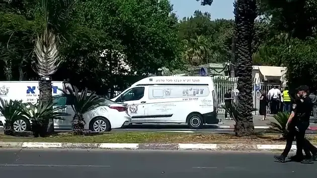 משפחות ההרוגים בהר מירון הגיעו לאבו כביר - וואלה! חדשות