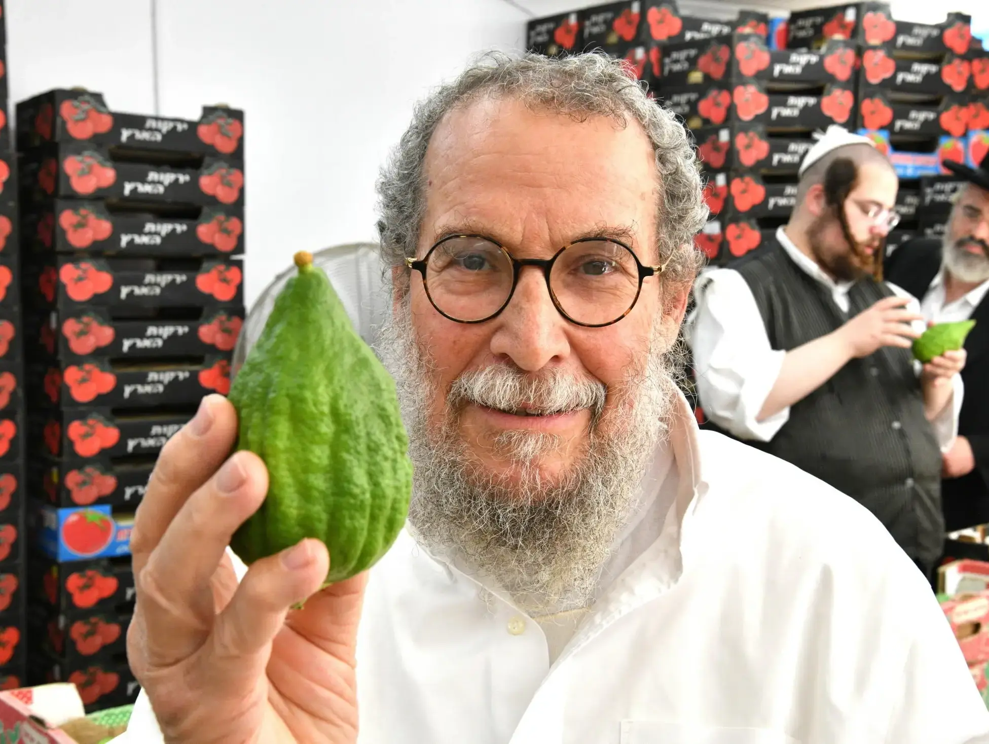 אתרוגים, משק נחום לוריא, כפר חבד, 15 בספטמבר 2026