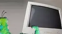 תולעת במחשב ( אילוסטרציה רותם צמרת ) תולעת במחשב ( אילוסטרציה רותם צמרת )