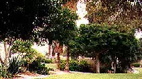 קיבוץ שבילים דשא קיבוץ שבילים דשא