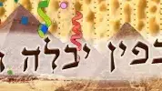 כל דכפין יבלה ויחגוג
