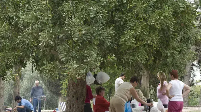 מטייליפ ונופשים פסח 2011