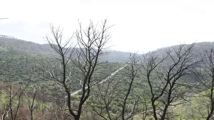 מטיילים בכרמל בחג הפסח מטיילים בכרמל בחג הפסח