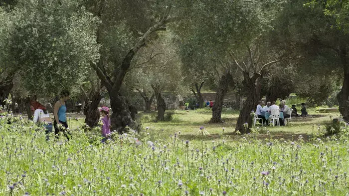 נופשים ומטיילים בפארקים, פסח 2011 נופשים ומטיילים בפארקים, פסח 2011