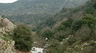 מים ברמת הגולן ( צילום עופר אדרת ) מים ברמת הגולן ( צילום עופר אדרת )