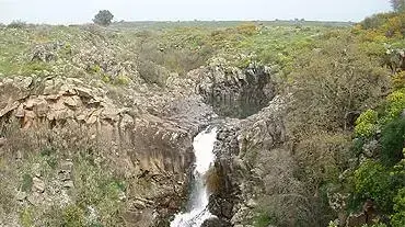 מים ברמת הגולן ( צילום עופר אדרת ) מים ברמת הגולן ( צילום עופר אדרת )
