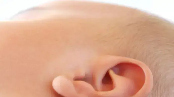 אילוסטרציה אילוסטרציה