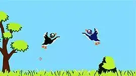 duck hunt
