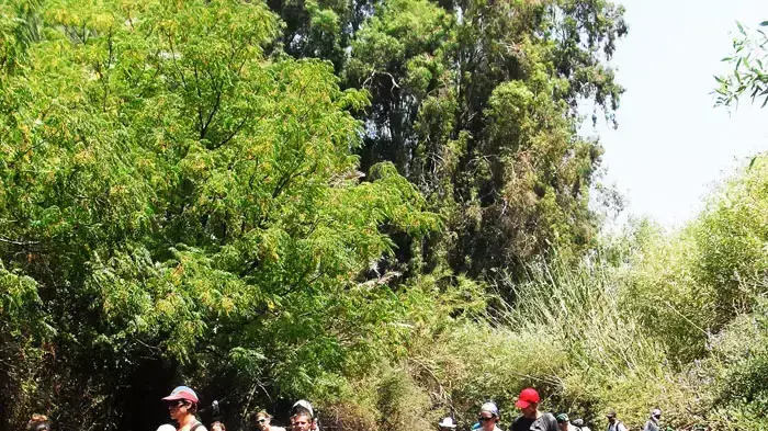שמורת טבע מג'רסה שמורת טבע מג'רסה