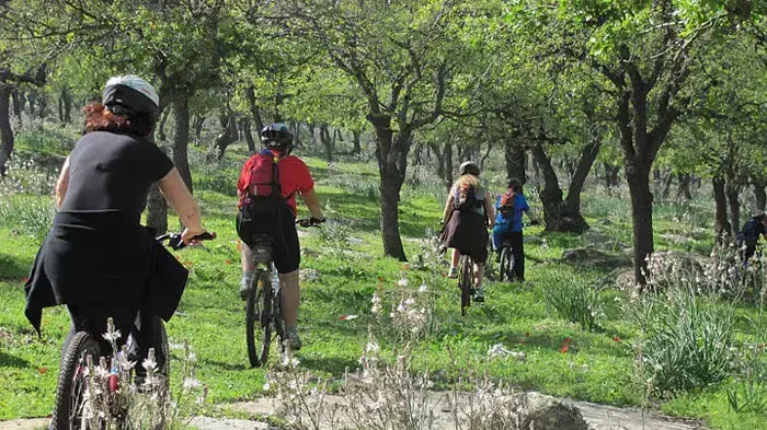 טיול אופניים מעל הגלבוע טיול אופניים מעל הגלבוע