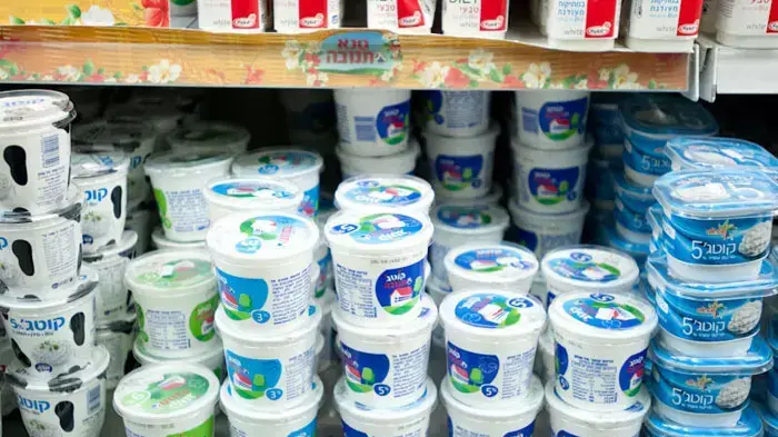 גבינת קוטג' גבינת קוטג'