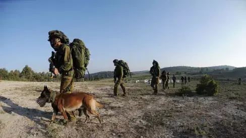 חיילי יחידת הכלבנים של צה"ל 'עוקץ עם כלביהם חיילי יחידת הכלבנים של צה"ל 'עוקץ עם כלביהם
