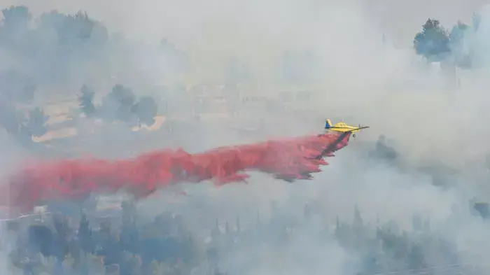 שריפה גדולה ביער ירושלים, יולי 2011 שריפה גדולה ביער ירושלים, יולי 2011