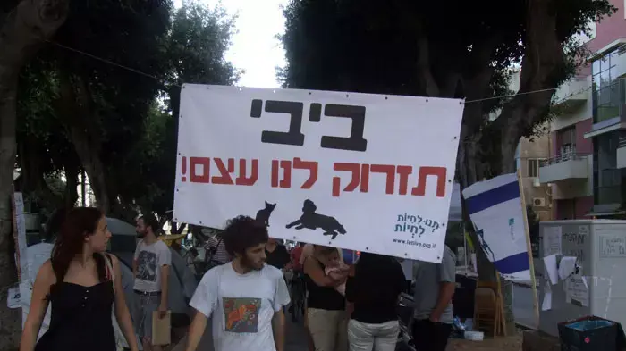 כלבים במאהל המחאה בשדרות רוטשילד, אוגוסט 2011 כלבים במאהל המחאה בשדרות רוטשילד, אוגוסט 2011