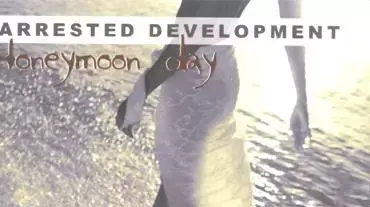 ARRESTED DEVELOPMENT ARRESTED DEVELOPMENT