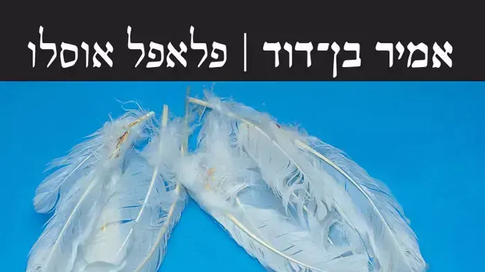 דברים לא חייבים לבוא ב??מקום, הם יכולים לבוא בנוסף. עטיפת הספר "פלאפל אוסלו" דברים לא חייבים לבוא ב??מקום, הם יכולים לבוא בנוסף. עטיפת הספר "פלאפל אוסלו"
