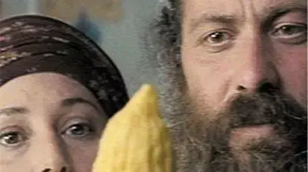 כרזת הסרט כרזת הסרט