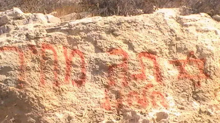 עקירת עצי זית בח'ירבת שוויכה כחלק מפעולת תג מחיר עקירת עצי זית בח'ירבת שוויכה כחלק מפעולת תג מחיר