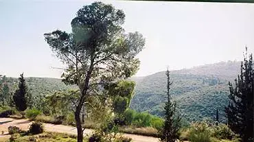 פארק רבין במבואות ירושלים ( ארכיון קקל ) פארק רבין במבואות ירושלים ( ארכיון קקל )