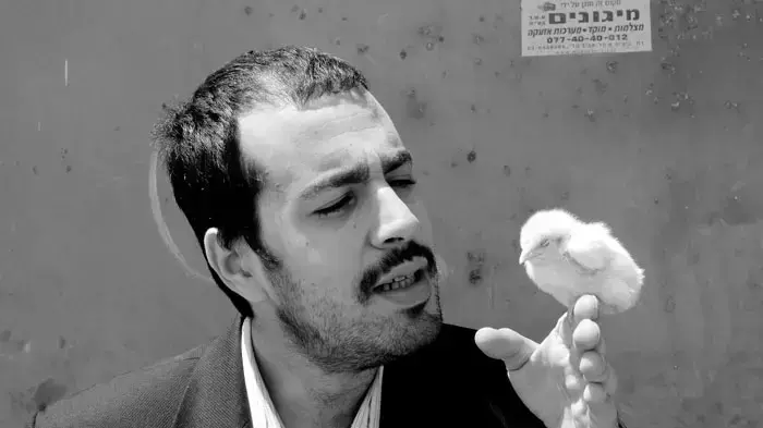 די מיוחד, האמת. טל הפטר, נסים והנפלאות די מיוחד, האמת. טל הפטר, נסים והנפלאות