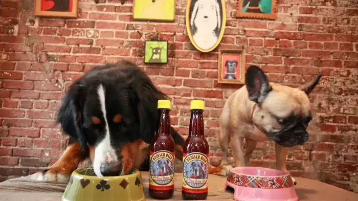 השקת בירה ראשונה בטעם בשר ועוף לכלבים, בוטיק Paw dog, ניו יורק, 28 אוקטובר השקת בירה ראשונה בטעם בשר ועוף לכלבים, בוטיק Paw dog, ניו יורק, 28 אוקטובר
