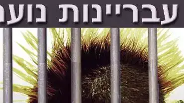 אילוסטרציה עבריינות נוער אילוסטרציה עבריינות נוער