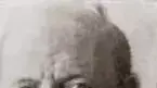 המשורר הלאומי חיים נחמן ביאליק המשורר הלאומי חיים נחמן ביאליק